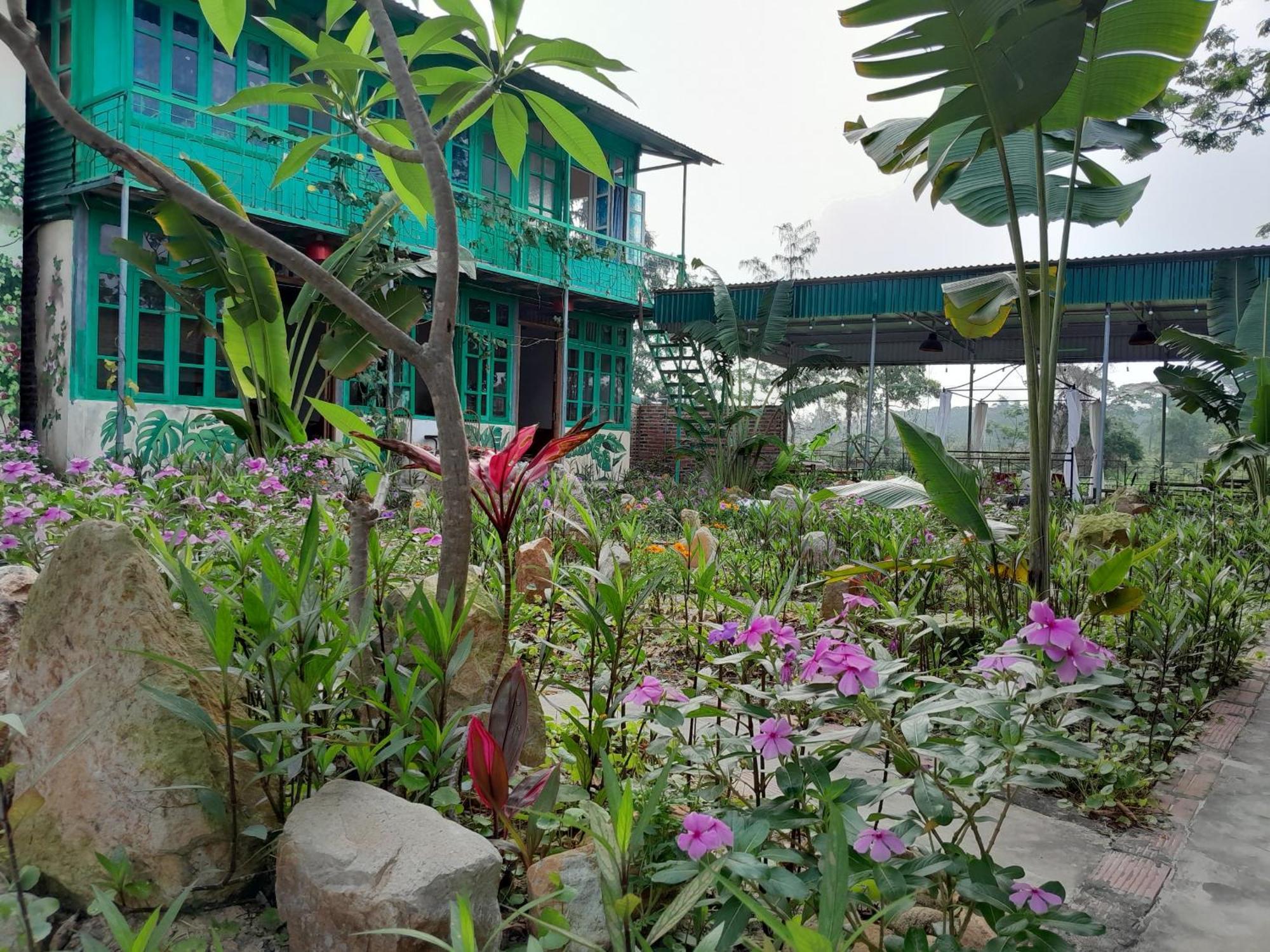 Mina Cafe & Stay Quan Lan Ngoại thất bức ảnh