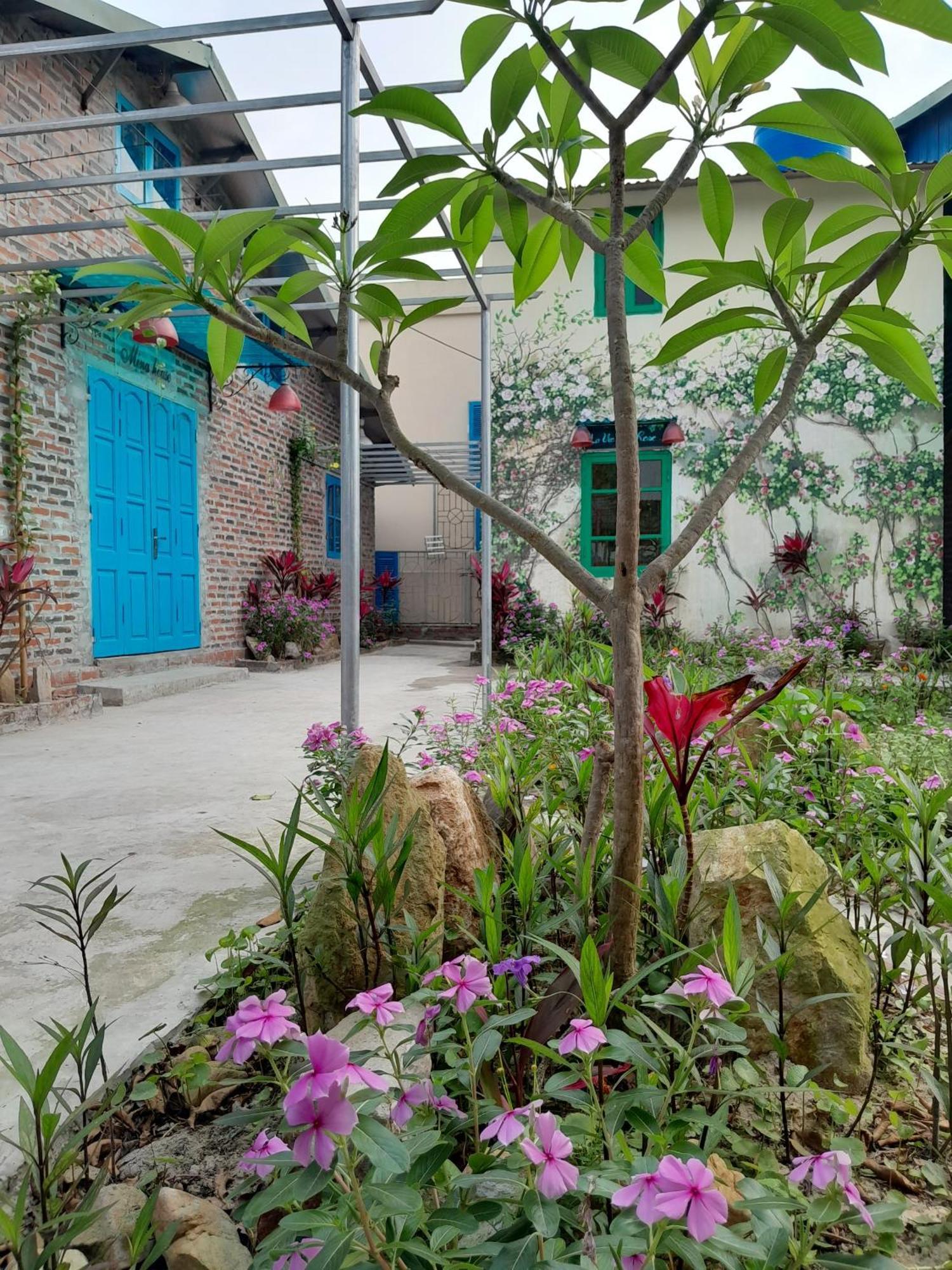 Mina Cafe & Stay Quan Lan Ngoại thất bức ảnh