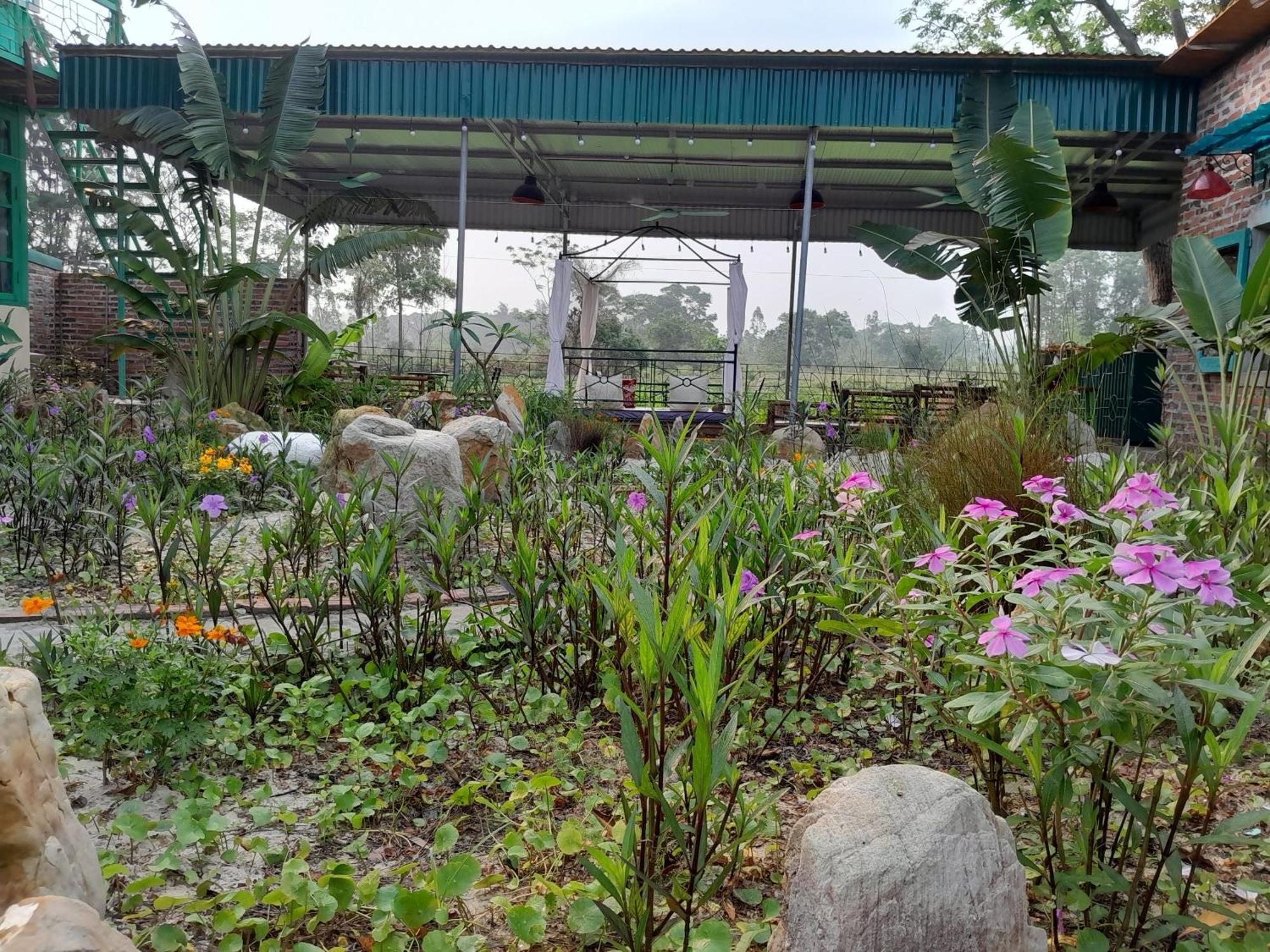 Mina Cafe & Stay Quan Lan Ngoại thất bức ảnh