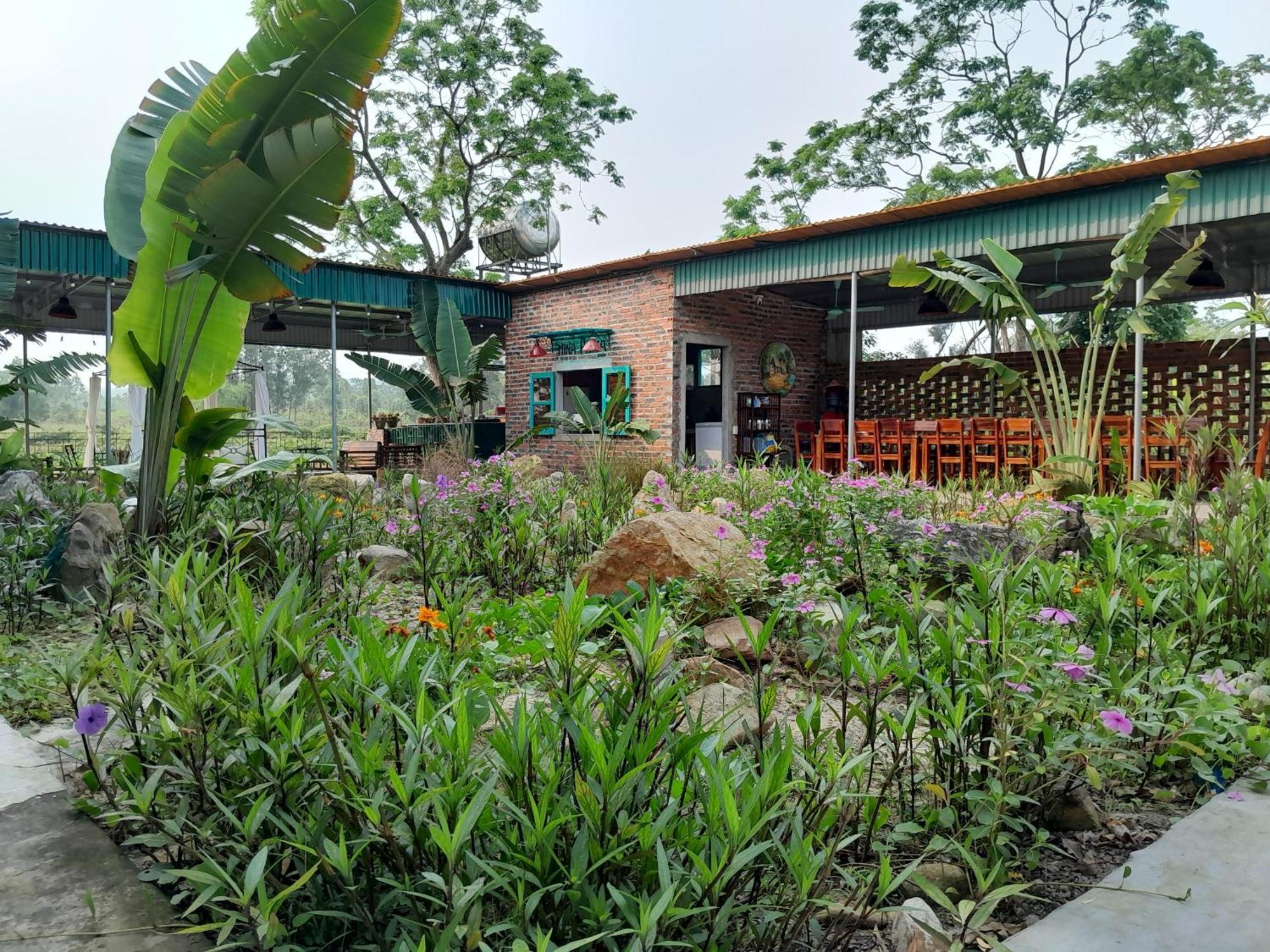 Mina Cafe & Stay Quan Lan Ngoại thất bức ảnh